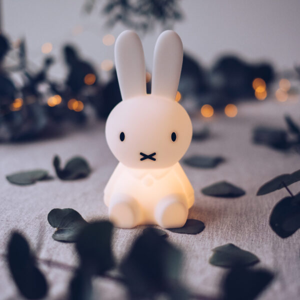 Bundle of Light HR Mr Maria Miffy 002 scaled